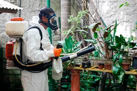 Resultado de imagem para agentes de endemias