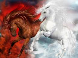 Image result for horses