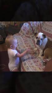 Funny Videos of Humans Babies Dogs and Cats | TikTok