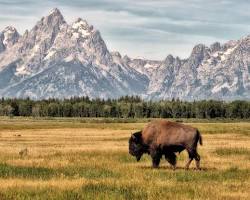 Grand Teton National Park in Wyoming