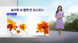 YTN - News update