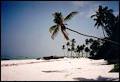 69 Gtes et Locations de Vacances - Zanzibar m