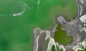 벼