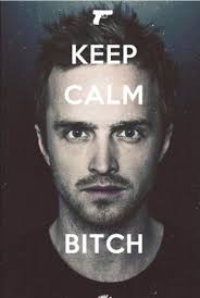 Jesse Pinkman ~ Breaking Bad ~ Aaron Paul | Quotes | Pinterest ... via Relatably.com