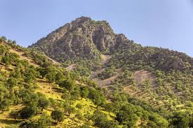 زاگرس