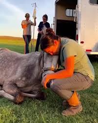 Echo touched grass for the first time in months — and her ...