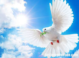 Resultado de imagen para imagenes de la paz