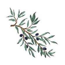 Resultado de imagen de ramas de olivo