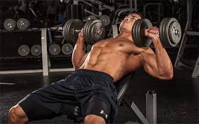Image result for Incline Dumbbell Press