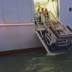 Carnival Cruise Ship Returns to Miami After Passenger Becomes Sick
