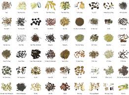 Image result for HEALING HERBS