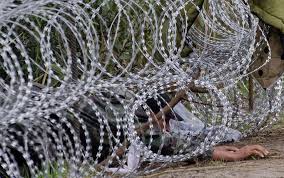 Risultati immagini per migranti ungheria