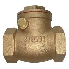 Zoro Select Swing Check Valve, 3/4 in, FNPT x FNPT, Inline ...