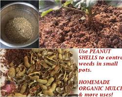 Peanut shell fertilizer