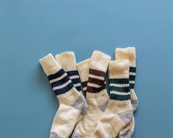 Rototo (ロトト) socksの画像