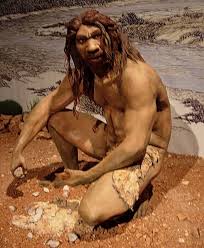 Resultado de imagen de homo neanderthalensis