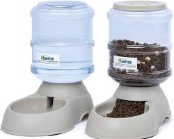 large dog food bowl and water dispenserの画像