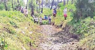 Andhra Pradesh Boosts Pashu Bima Scheme: 85% Subsidy and Higher Payouts for Dairy Farmers