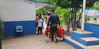 Abejas pican a 11 niños en primaria del sur de Culiacán