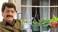 Noida RWA Slams FIR Move On AOAs For Balcony Pot Rule, Says ‘We’re Not Police, Can Only Monitor’- Sector 40 RWA President To News 24