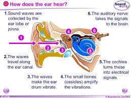 Image result for 6 QUALITIES OF SOUND HEAR