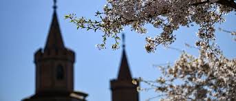 Nächte bleiben vorerst frostig Sonniger Wochenabschluss in Berlin und Brandenburg – bis zu 16 Grad