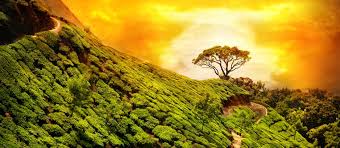 Image result for kerala images