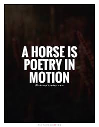 Poetry Quotes | Poetry Sayings | Poetry Picture Quotes - Page 4 via Relatably.com