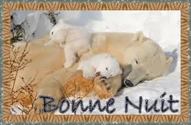 Résultats de recherche d'images pour « LIGNE GIF ANIMÉ   OURS POLAIRE »