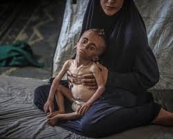 The Guardian - News update