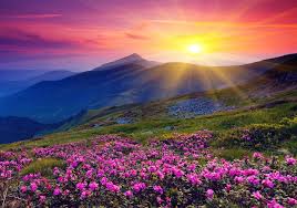 Картинки по запросу ценности жизни картинки