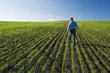 Agrarianism - , 