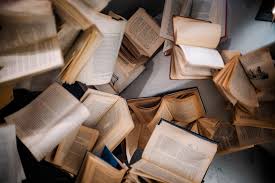 What I am Reading in August 2026