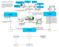 Image result for eyeball enucleation cattle