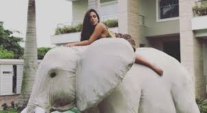Resultado de imagem para festa da anitta na selva