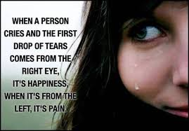 The Wondrous – Funny Quotes, Funny Images and Epic Fails via Relatably.com