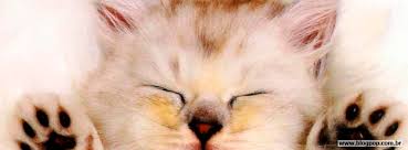 Resultado de imagem para imagens para capa do facebook feminino