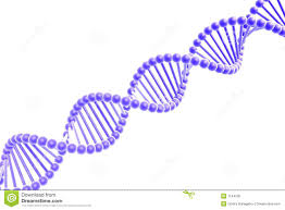 Résultat de recherche d'images pour "white dna"
