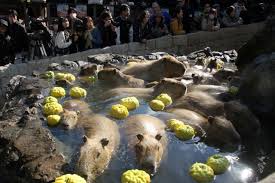 News source: Yahoo!ニュース