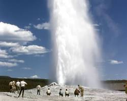 Old Faithful Geyser, Yellowstone National Park