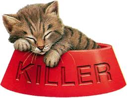 Image result for killer cats