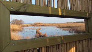 Risultati immagini per birdwatching capanni