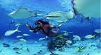 The World s Best Scuba Diving Locations Scuba Diving