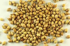 Image result for CORIANDER