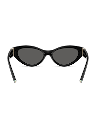 Tiffany & Co. Tiffany T 54MM Cat-Eye Sunglasses | Saks Fifth Avenue