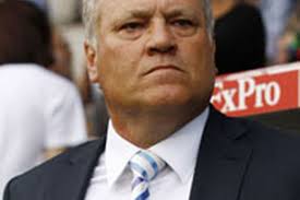 Euro blunder by Ruiz may have led him to Fulham - martin-jol-image-2-271463352-5948224