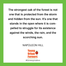 Young Urban Farmers Novmeber 6 2015, Napoleon Hill - Young Urban ... via Relatably.com