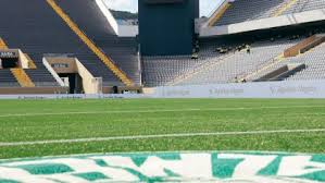 Palmeiras x Ibrachina: horário e onde assistir ao jogo da Copinha