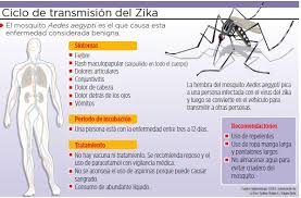 Resultado de imagen para ZIKA