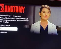 Image of Grey's Anatomy Netflix Series
